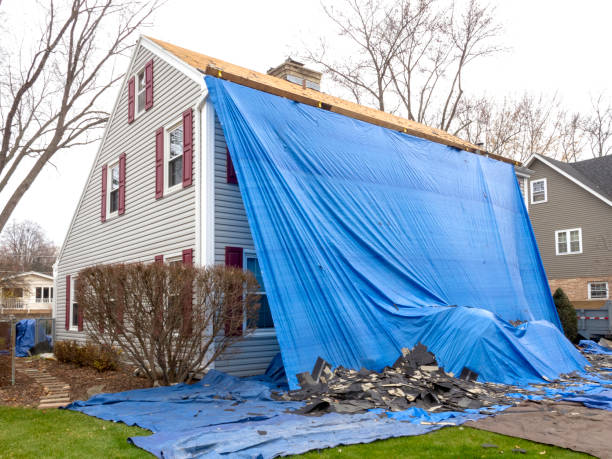Best Same-Day Junk Removal Services  in River Rouge, MI